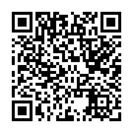 QR code for NES393