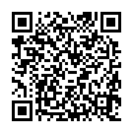 QR code for NES395