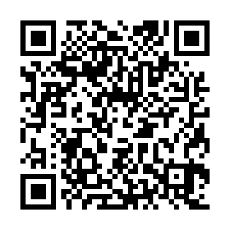 QR code for NES523