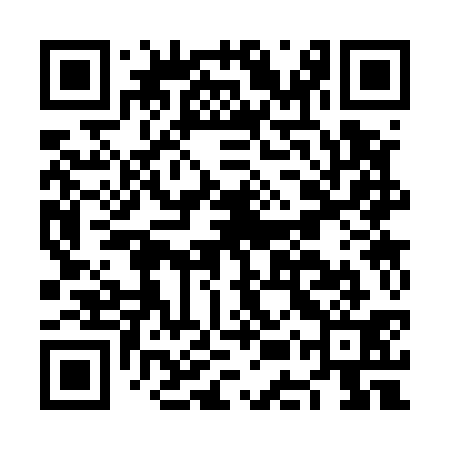 QR code for NES531