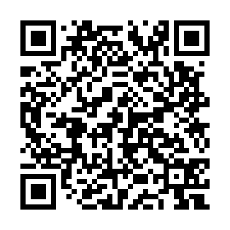 QR code for NES534