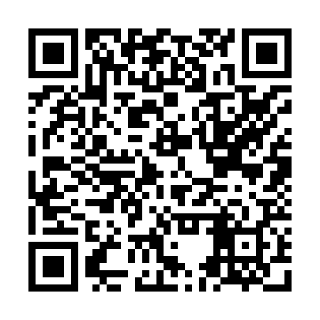 QR code for NES828