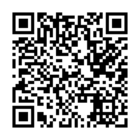 QR code for NES989