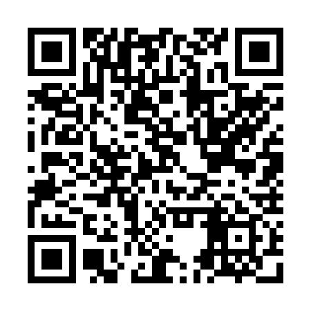 QR code for NEW239