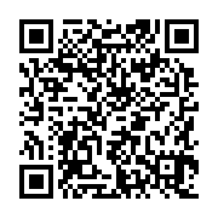 QR code for NEX385