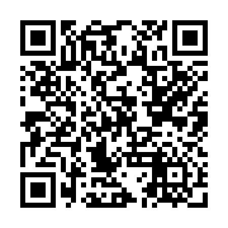 QR code for NFK316