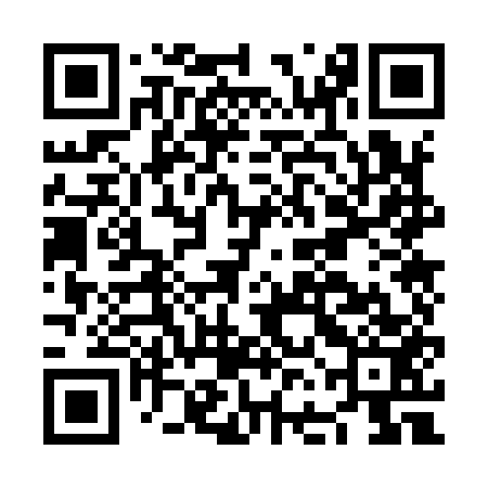 QR code for NFO953