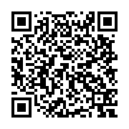 QR code for NFP533