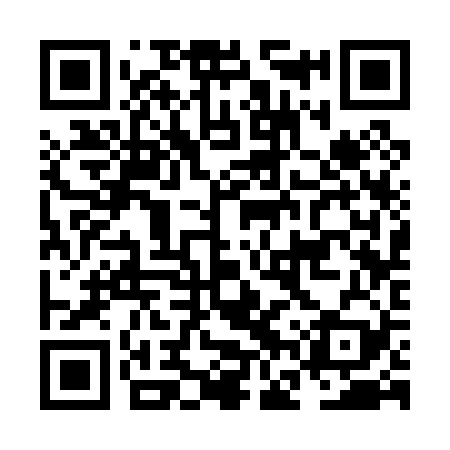 QR code for NFS029