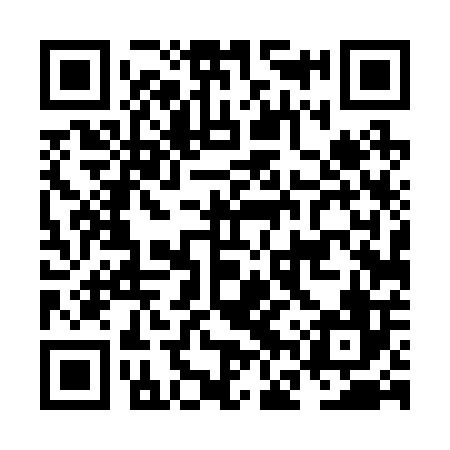 QR code for NFT206