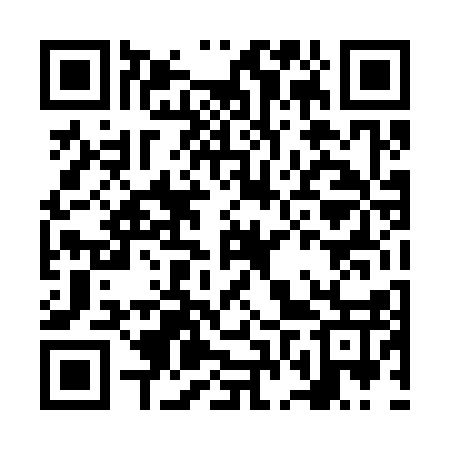 QR code for NFT317