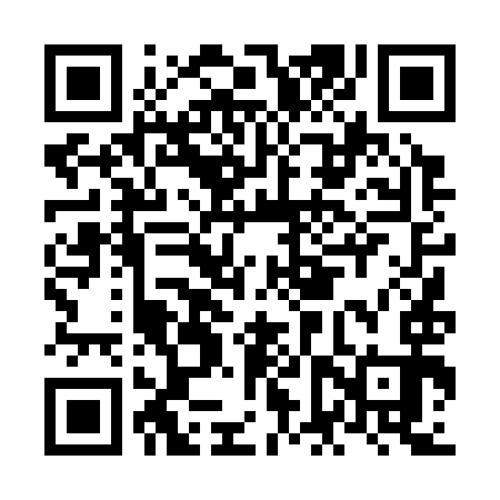 QR code for NFT393