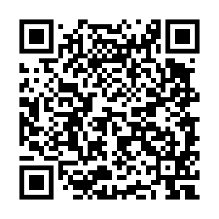 QR code for NFT495
