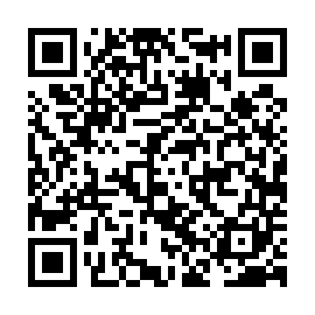 QR code for NFT541