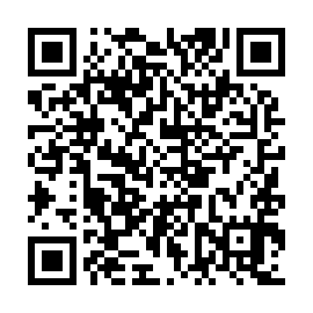 QR code for NFT995