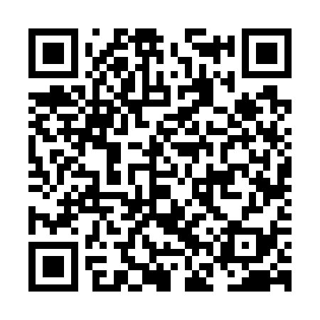QR code for NFV739