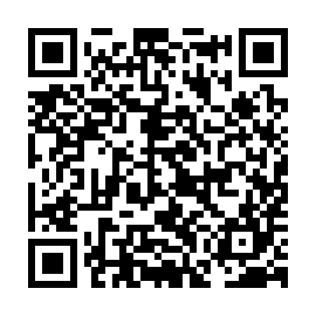 QR code for NGA384
