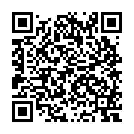 QR code for NGK381