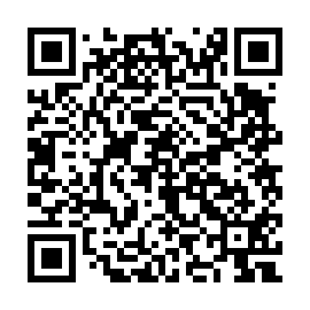 QR code for NIB411