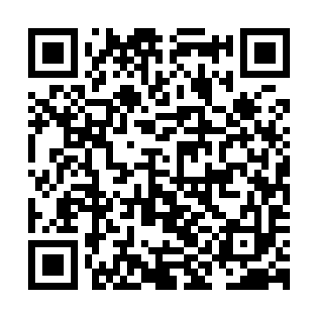 QR code for NIE993