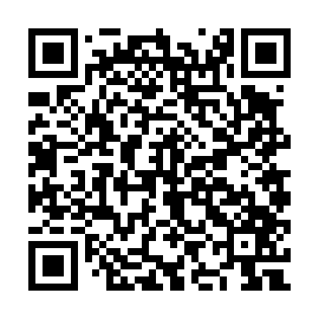 QR code for NIF447