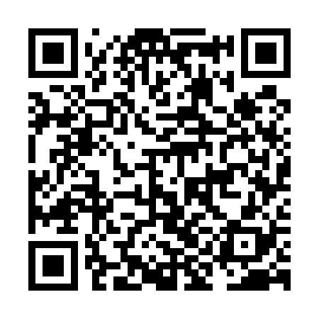 QR code for NIG528