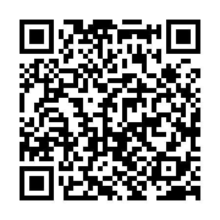 QR code for NIH938