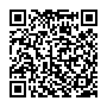QR code for NII410