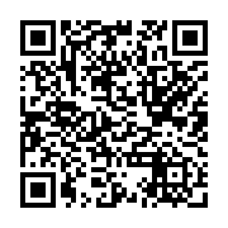 QR code for NII959