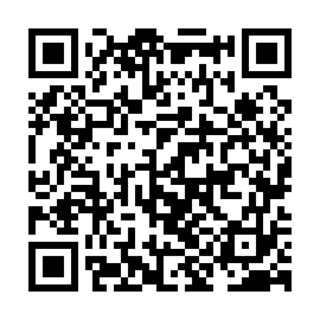 QR code for NIN173