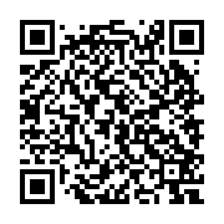 QR code for NIN203