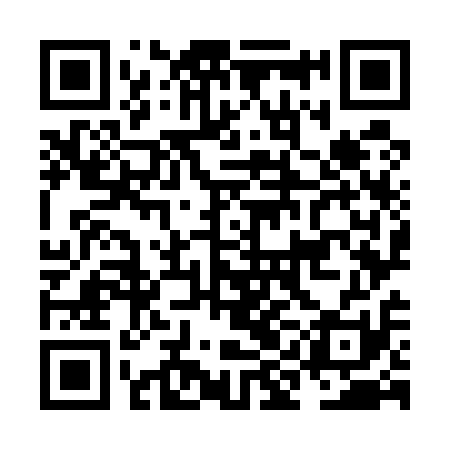 QR code for NIO511