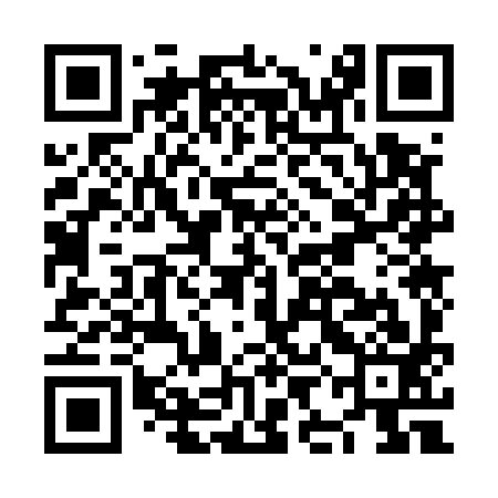 QR code for NIO593