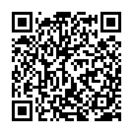QR code for NIQ541