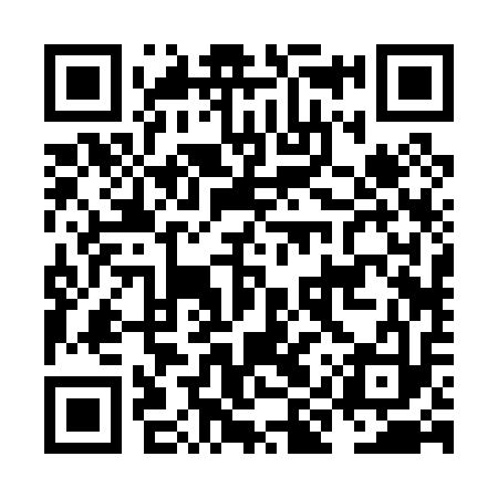 QR code for NIR013