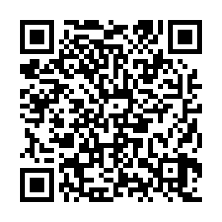 QR code for NIR028