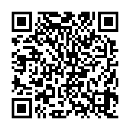 QR code for NIR339