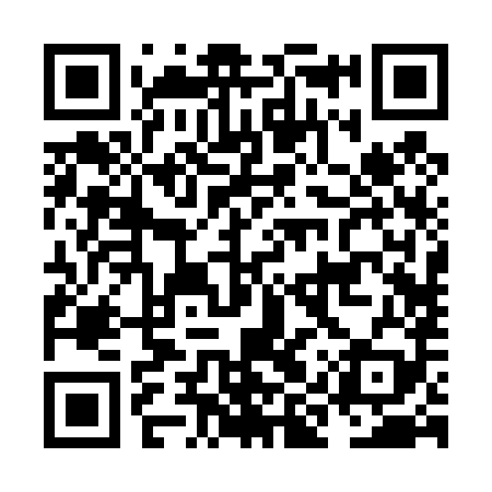 QR code for NIR489