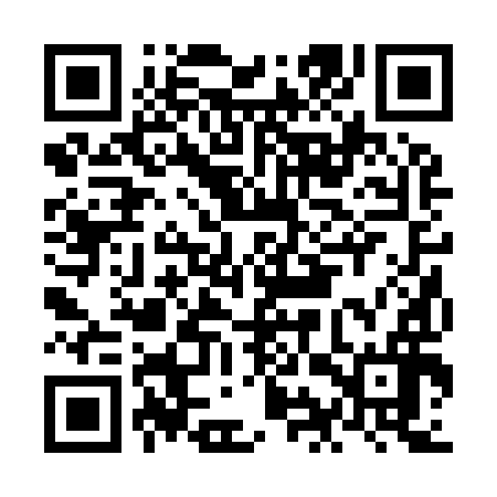 QR code for NIR996