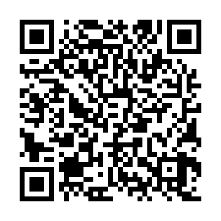 QR code for NIU128