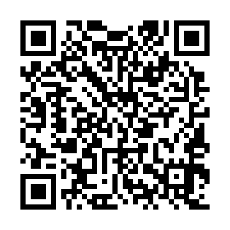 QR code for NIU355