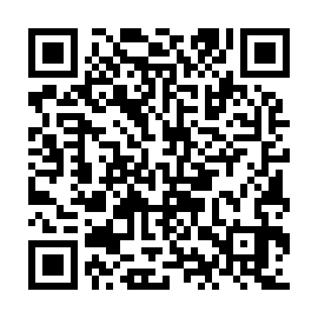 QR code for NIU933