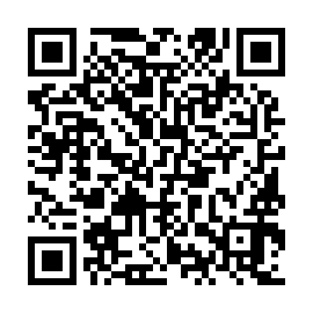 QR code for NIU992