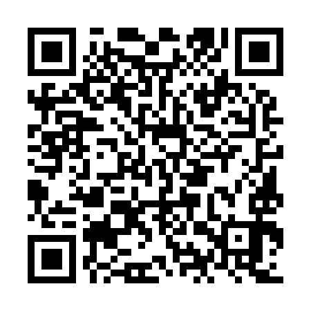 QR code for NIU993