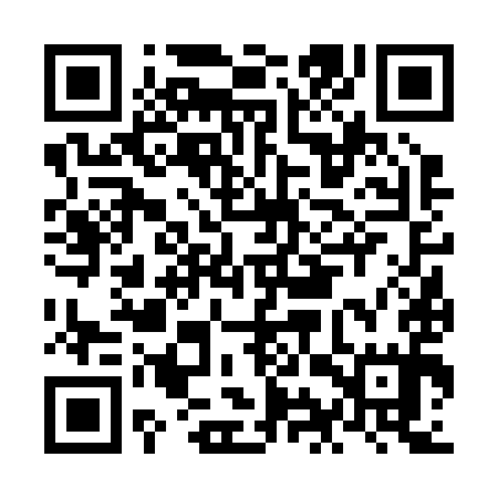 QR code for NIV295