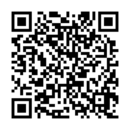 QR code for NIV336
