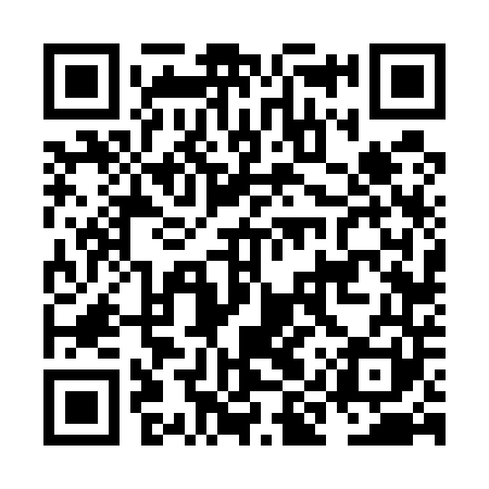 QR code for NIV541