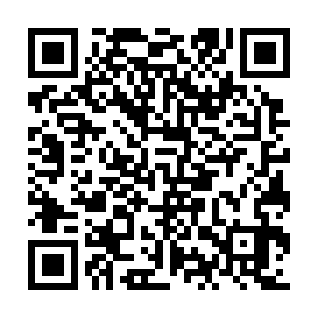 QR code for NIW333
