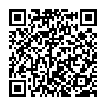 QR code for NIW538