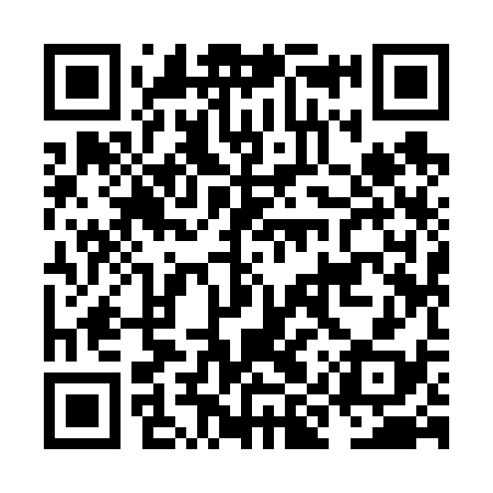 QR code for NIY638
